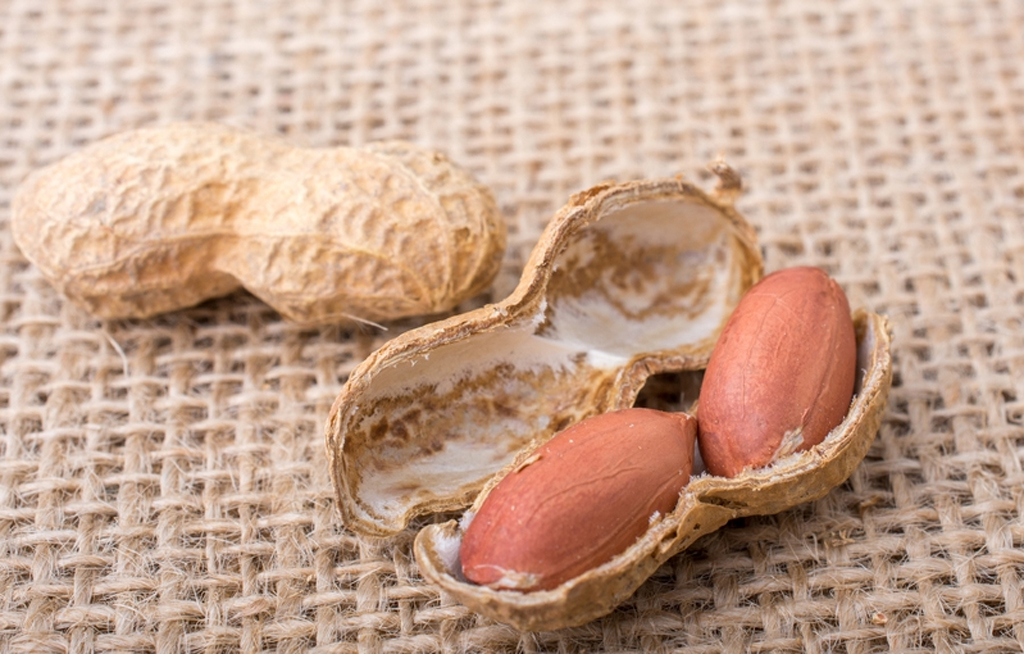 Sabías que los cacahuates son una botana súper saludable | El Imparcial de Oaxaca