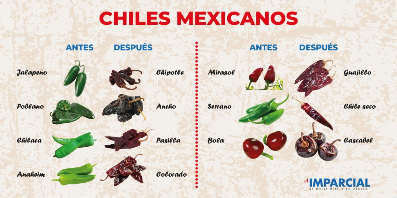 El chile mexicano, símbolo de indentidad | El Imparcial de Oaxaca
