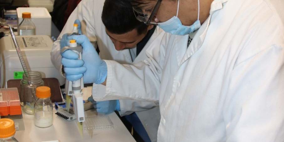 IPN refiere que las vacunas contra covid generan anticuerpos y son eficaces | El Imparcial de Oaxaca