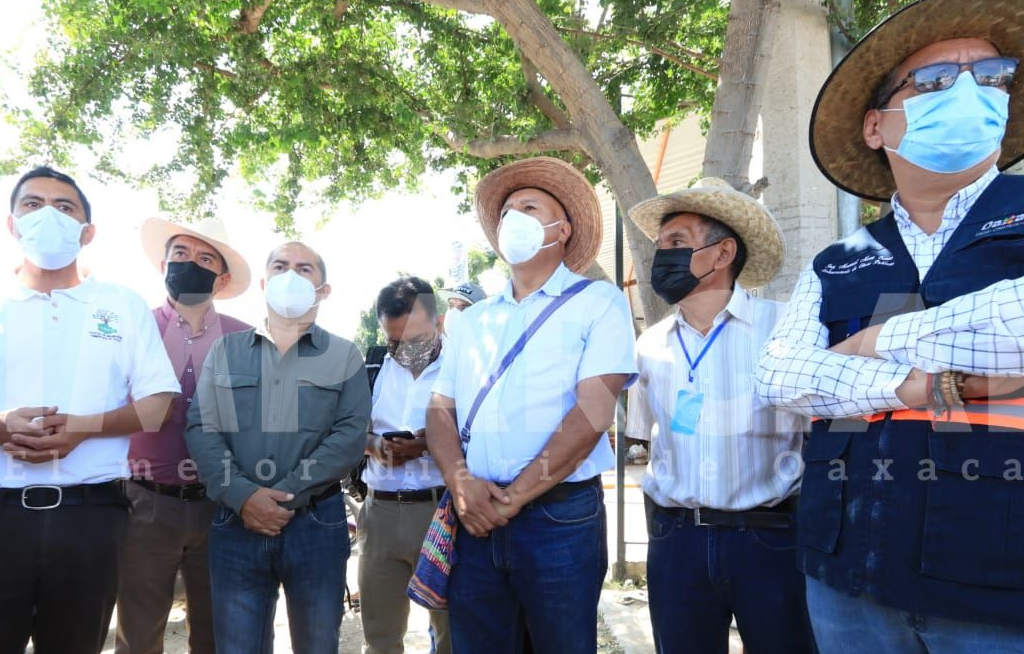 Recorren obra de ampliación de Símbolos Patrios; ambientalistas piden respeto al arbolado | El Imparcial de Oaxaca