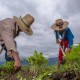 México, EU y Canadá buscan manera de enfrentar efectos de cambio climático en la agricultura