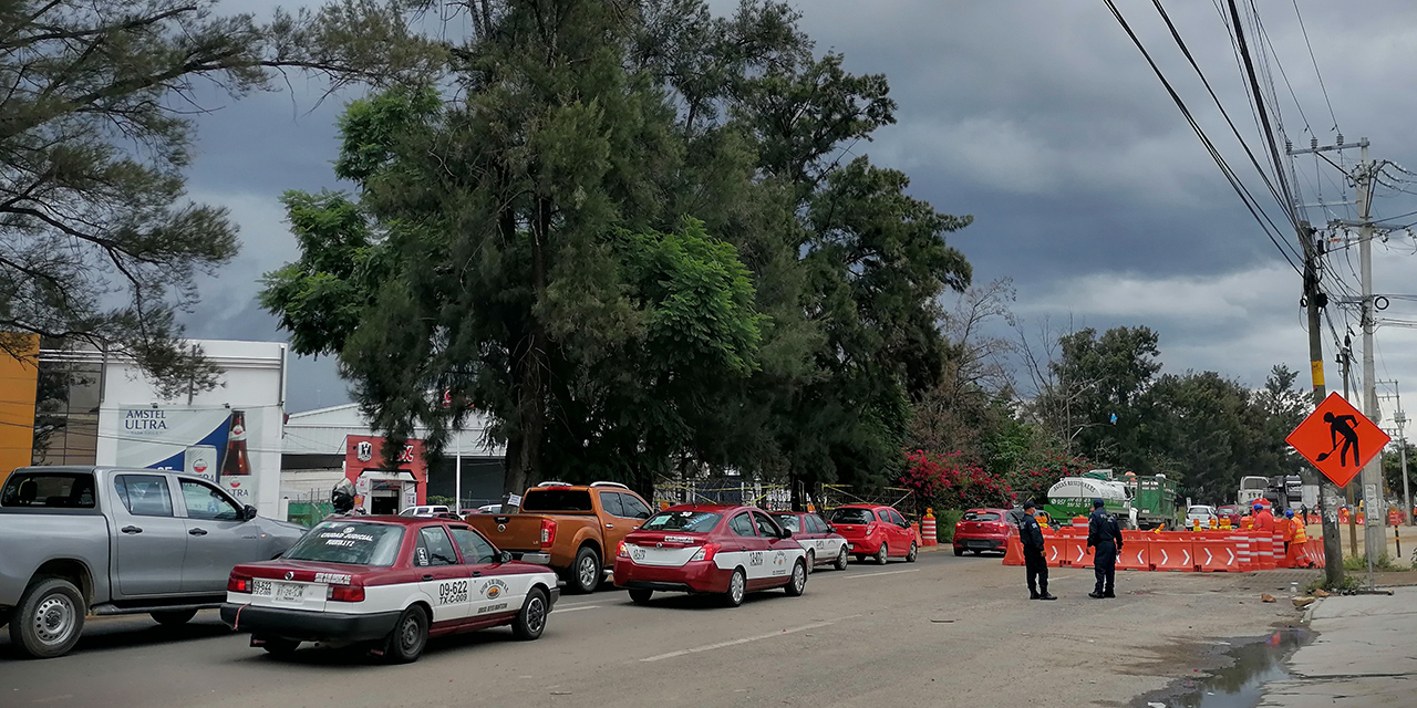 Ayuntamiento de Oaxaca avaló derribo de árboles | El Imparcial de Oaxaca