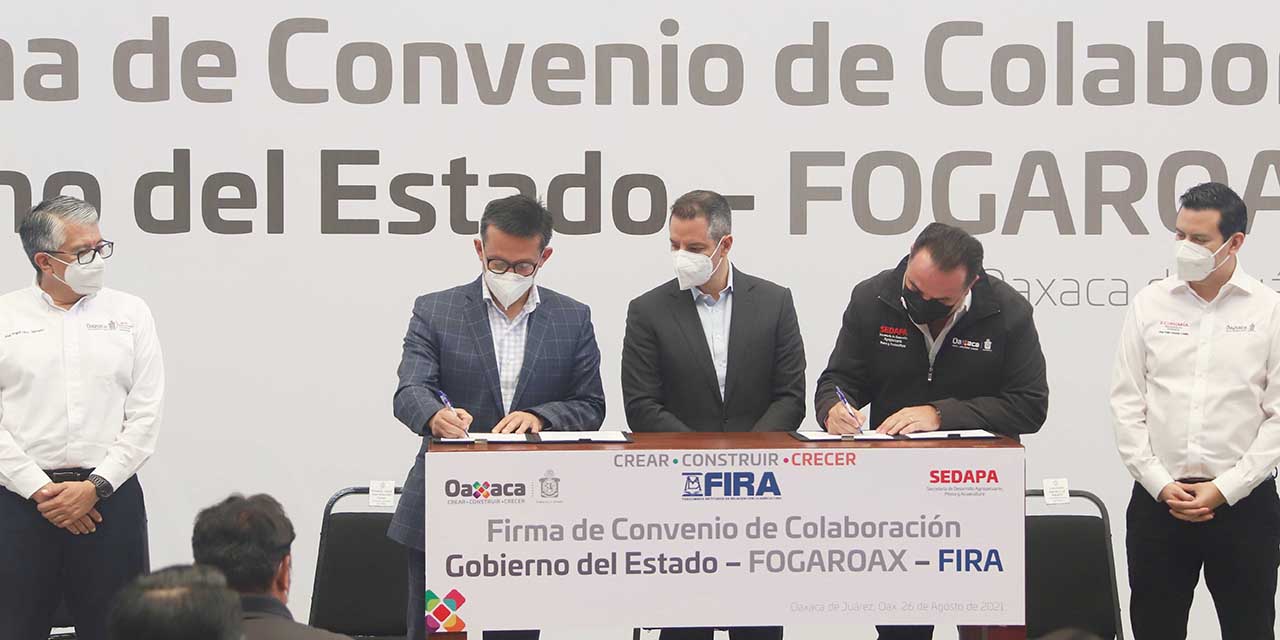 Impulsan Financiamiento a la Mediana Empresa | El Imparcial de Oaxaca Impulsan Financiamiento a la Mediana Empresa | El Imparcial de Oaxaca