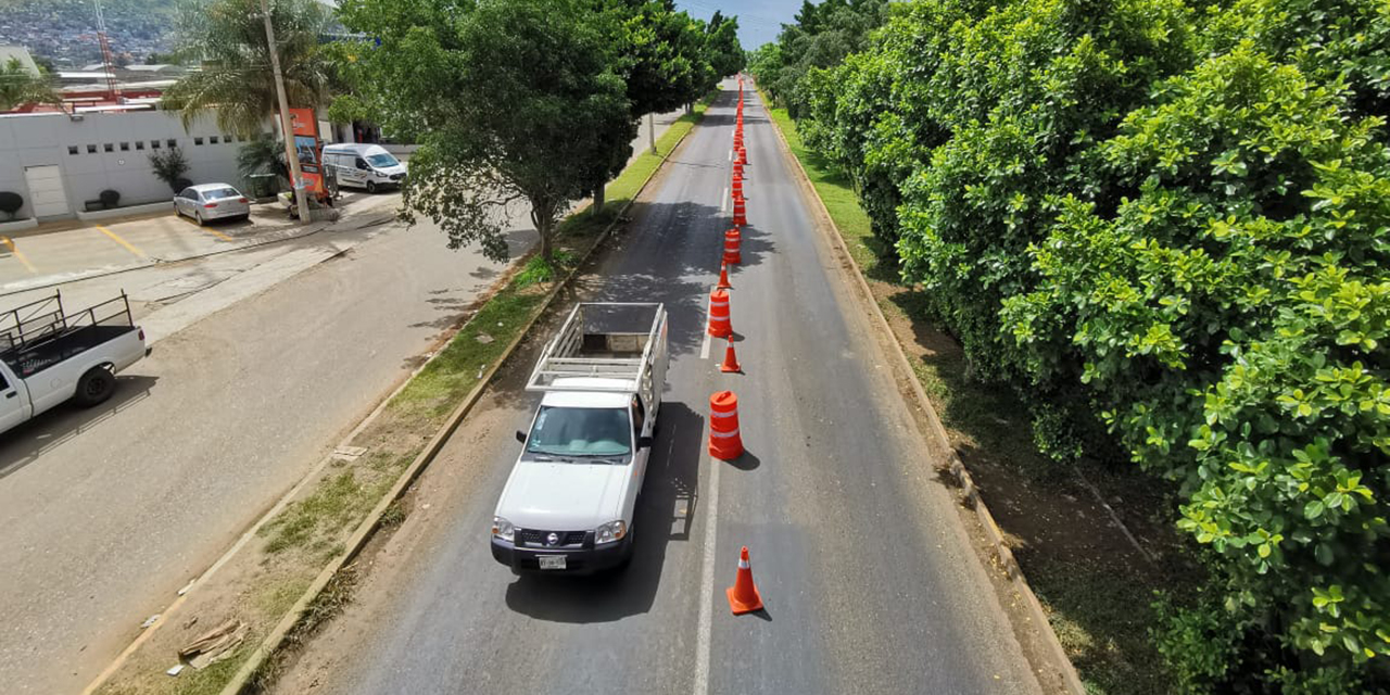 Plantarán mil 605 árboles en ampliación de carretera | El Imparcial de Oaxaca