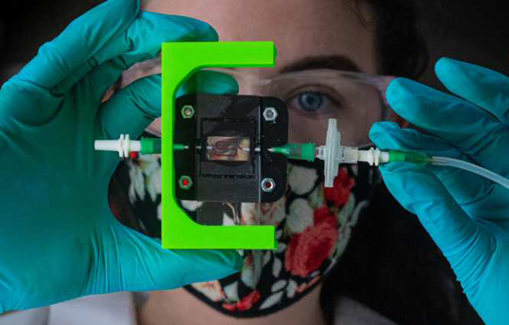 Realizarán implante para crear insulina para diabetes tipo 1
