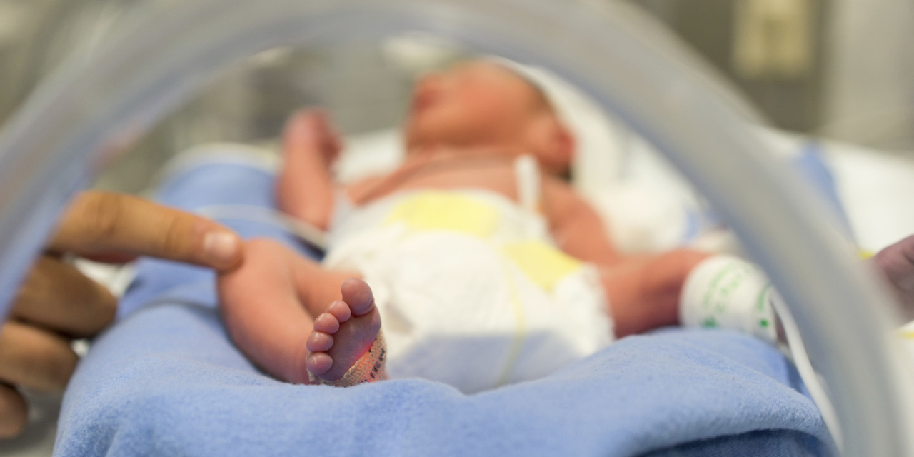 Mueren 2 bebés al contagiarse de covid-19 en Nuevo León | El Imparcial de Oaxaca