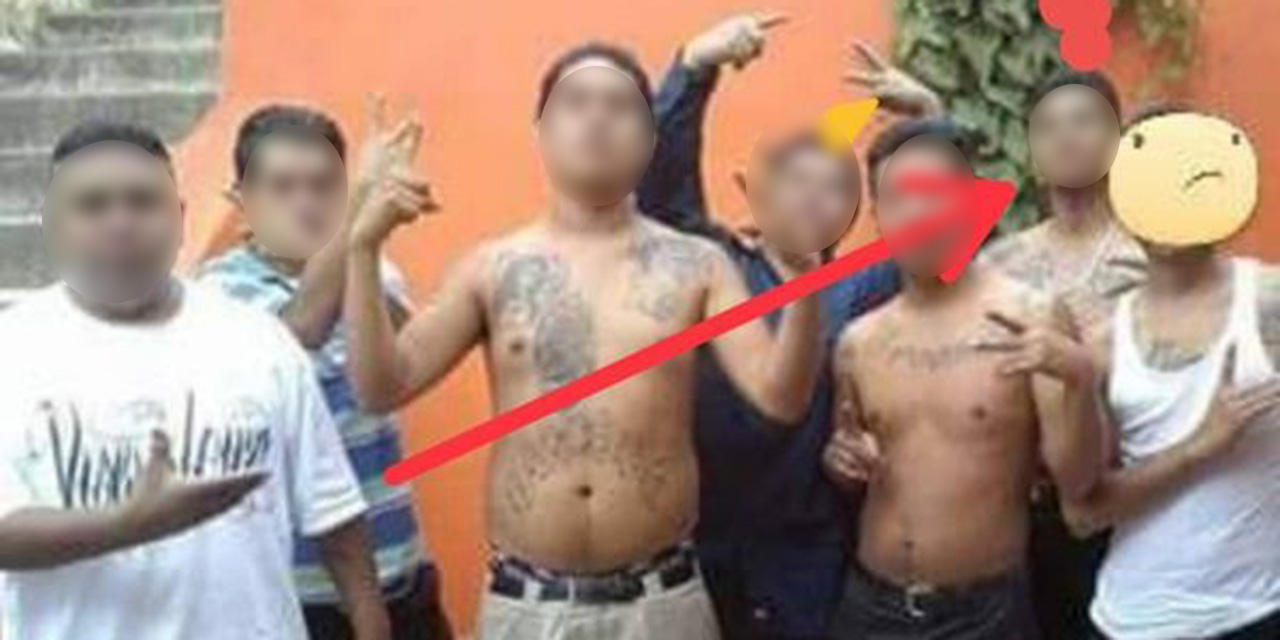 Cazan a presuntos asesinos de médico | El Imparcial de Oaxaca Cazan a presuntos asesinos de médico | El Imparcial de Oaxaca