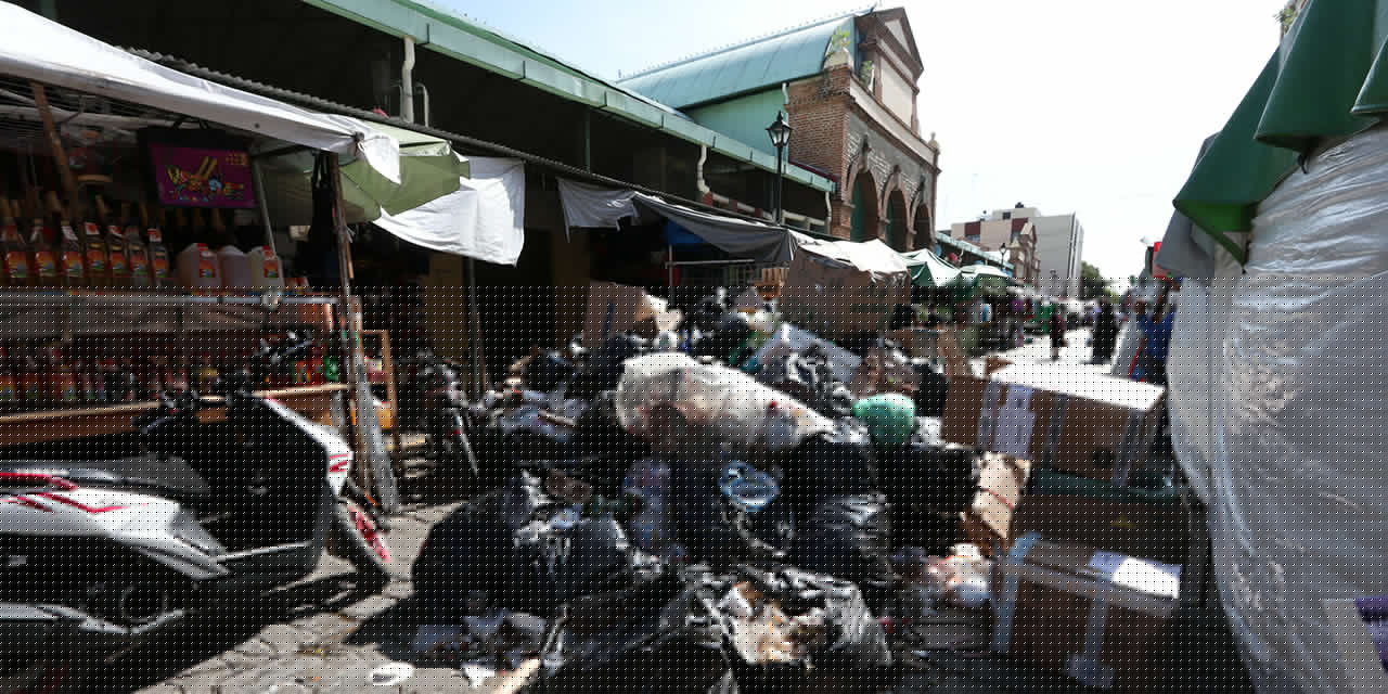 Basura en Oaxaca: entre el abandono de desechos y la falta de servicio | El Imparcial de Oaxaca Basura en Oaxaca: entre el abandono de desechos y la falta de servicio | El Imparcial de Oaxaca