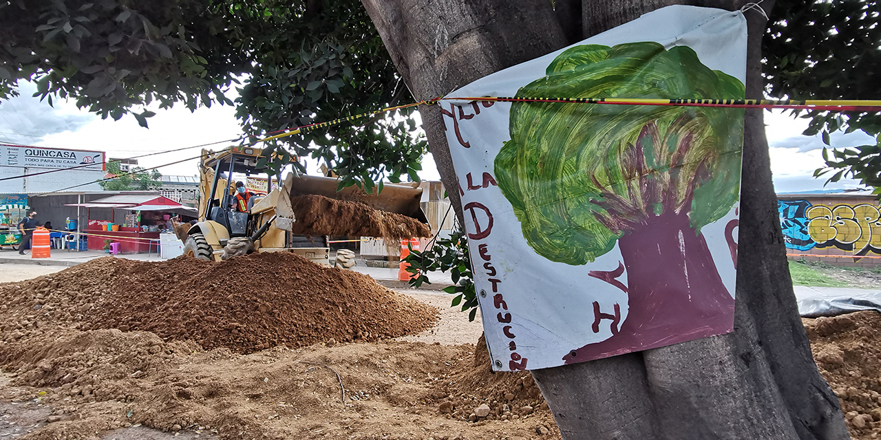 Pese a amparo, continúan trabajos en Símbolos Patrios | El Imparcial de Oaxaca Pese a amparo, continúan trabajos en Símbolos Patrios | El Imparcial de Oaxaca