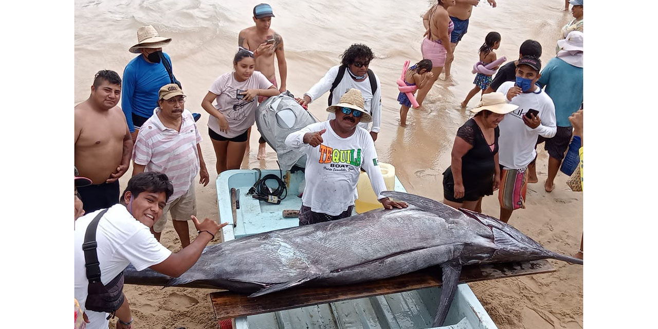 Video: Pescan gran marlín en la Costa de Oaxaca | El Imparcial de Oaxaca