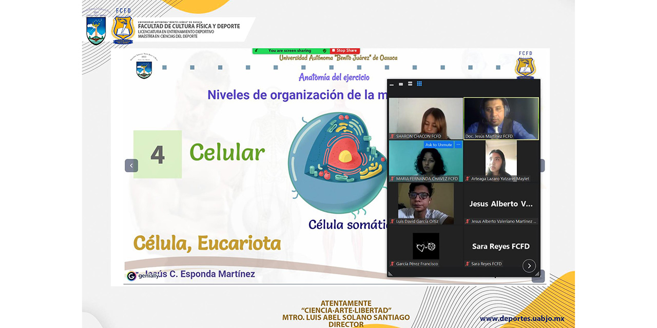 LED UABJO mantiene sus clases en línea | El Imparcial de Oaxaca