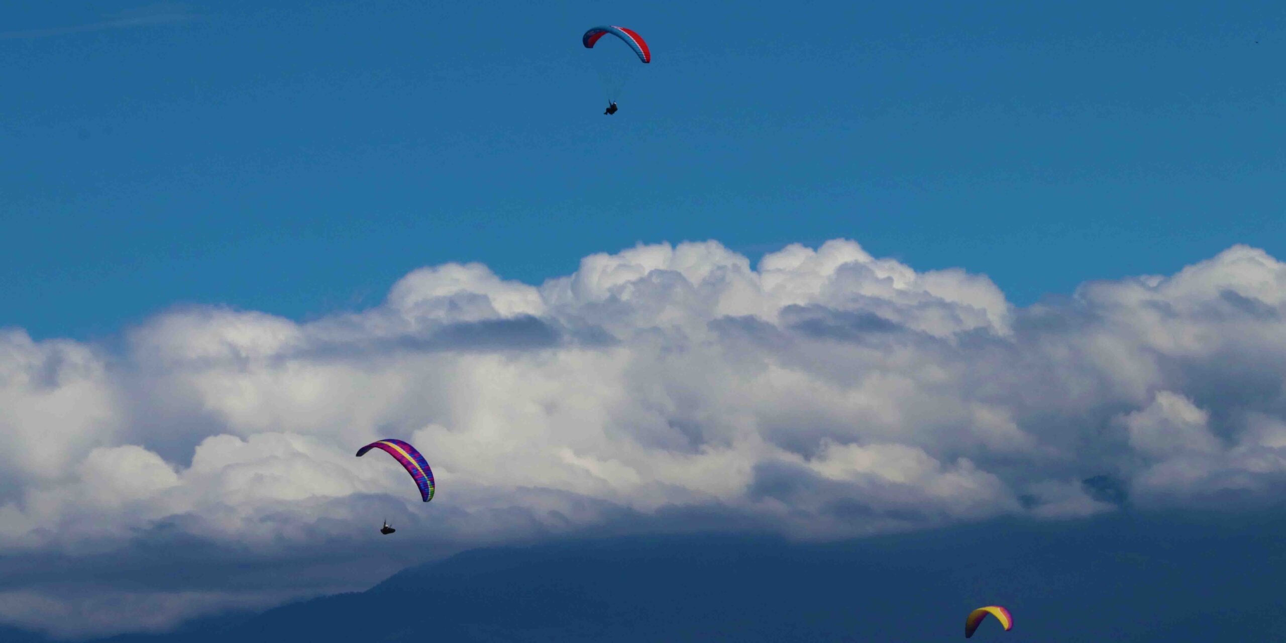 Preparan Alebrijes voladores vuelo con causa | El Imparcial de Oaxaca