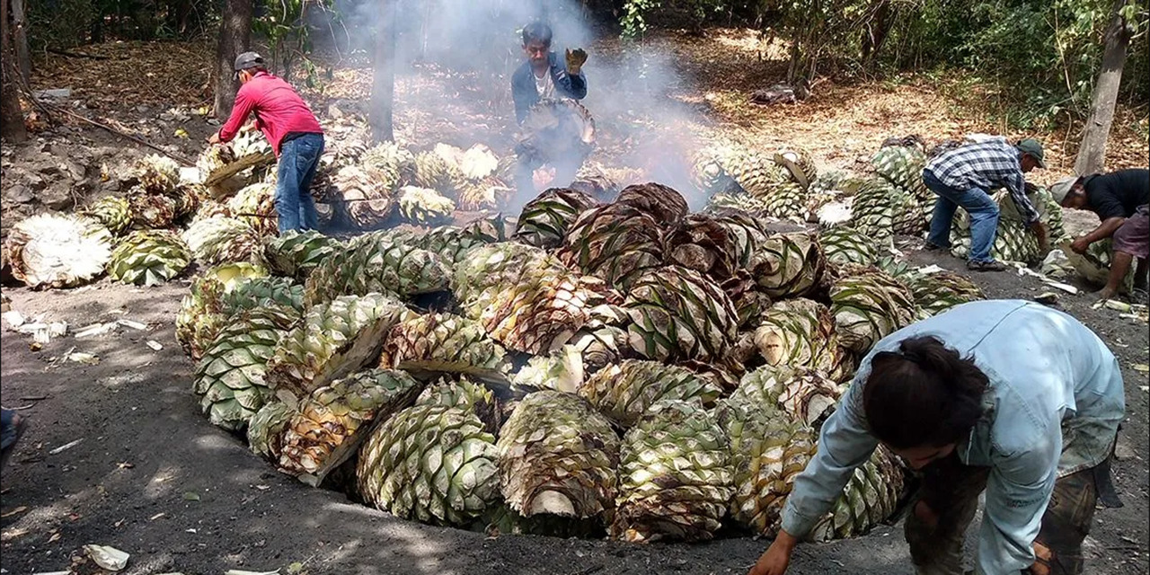 Mezcaleros piden a 4T ajustar el IEPS | El Imparcial de Oaxaca Mezcaleros piden a 4T ajustar el IEPS | El Imparcial de Oaxaca
