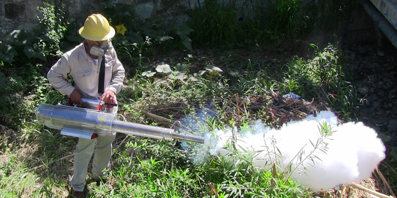 Acorralan a Oaxaca 6  brotes de dengue y 45 de Covid19 | El Imparcial de Oaxaca