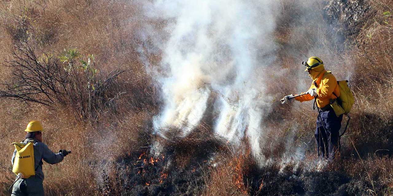 Aumenta 34% daños por incendios en la entidad | El Imparcial de Oaxaca Aumenta 34% daños por incendios en la entidad | El Imparcial de Oaxaca