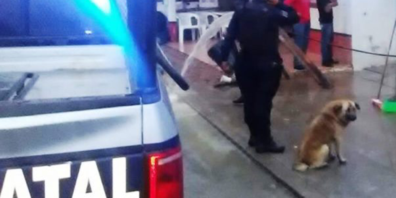 Hombre es atacado por perro | El Imparcial de Oaxaca