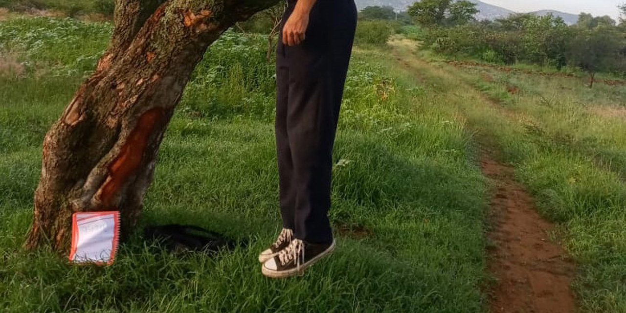 Oaxaca reporta un suicidio cada 40 horas en 2020 | El Imparcial de Oaxaca Oaxaca reporta un suicidio cada 40 horas en 2020 | El Imparcial de Oaxaca
