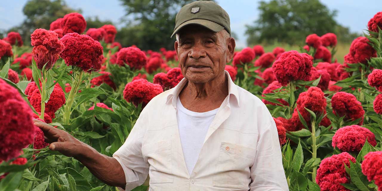 Llega La muerte a Oaxaca a través de flores rojas y amarillas | El Imparcial de Oaxaca