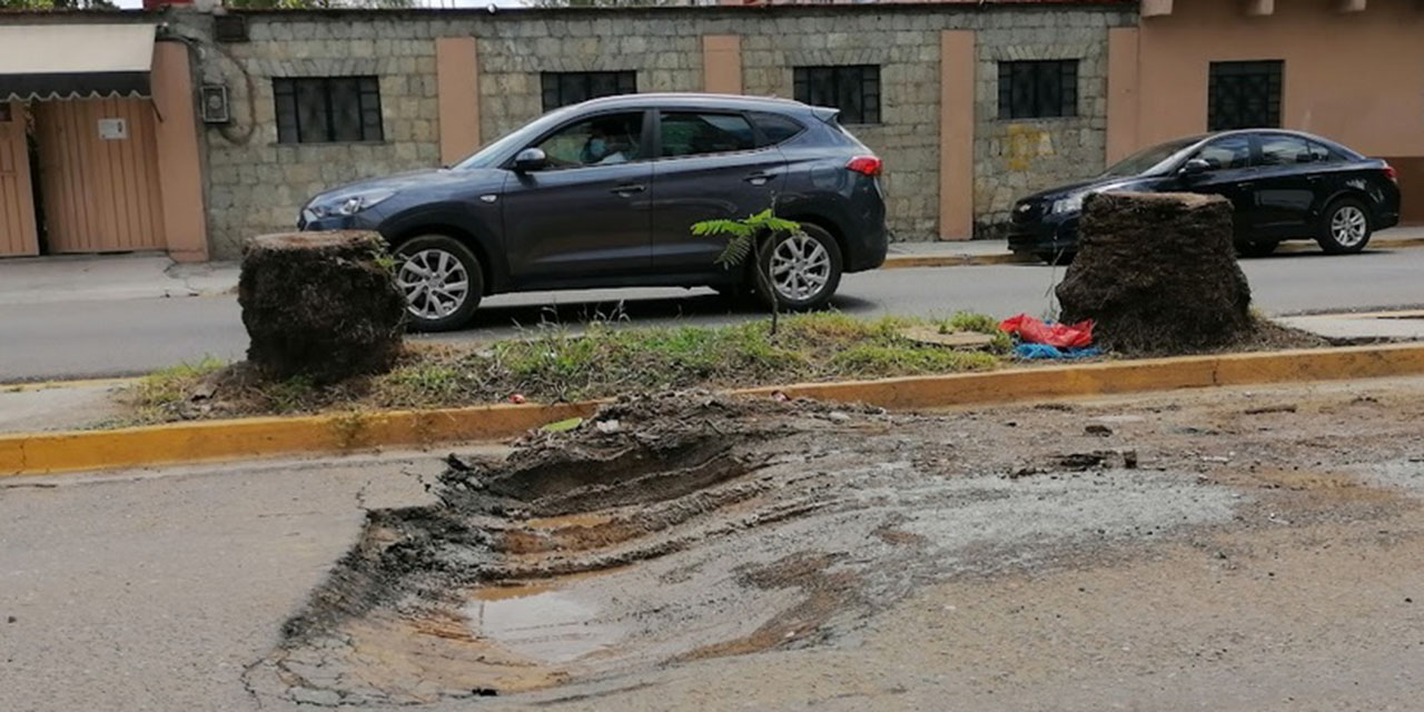 Calles de la colonia Reforma pierden su esplendor | El Imparcial de Oaxaca Calles de la colonia Reforma pierden su esplendor | El Imparcial de Oaxaca