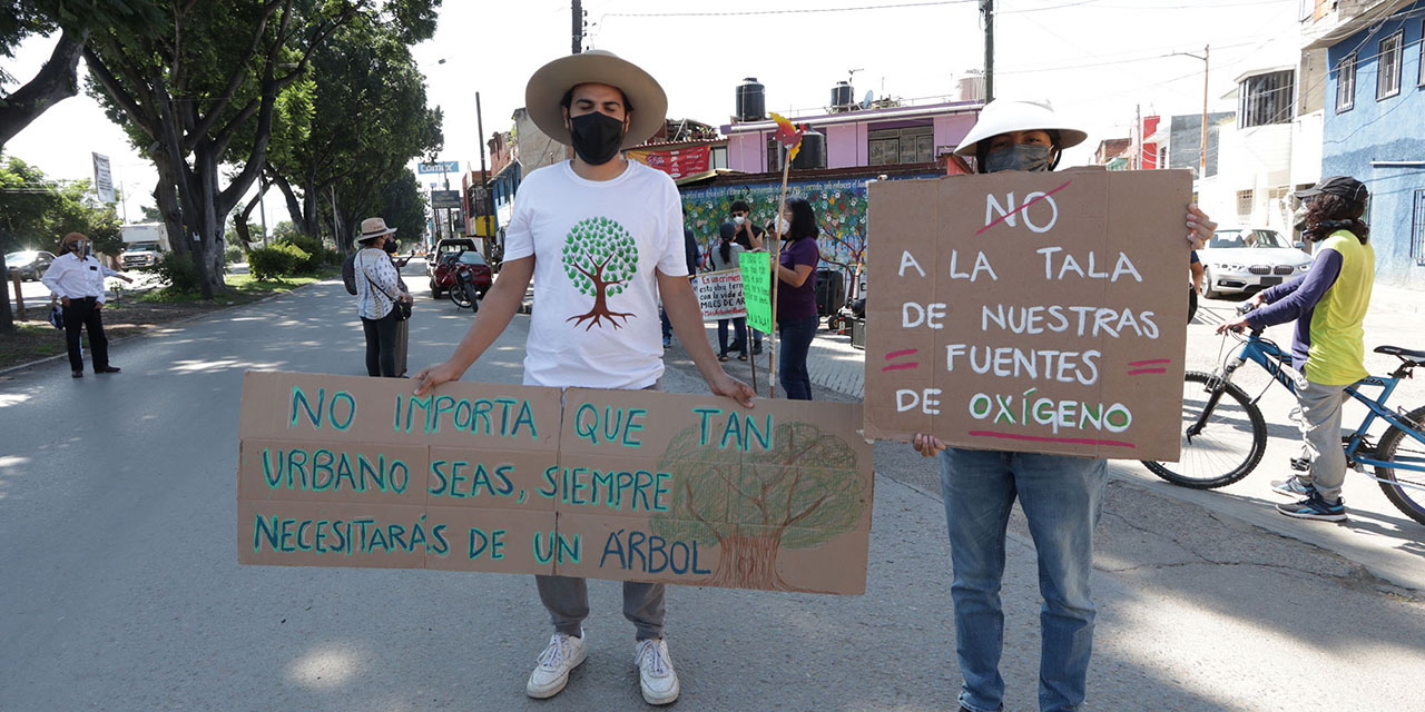 COAO acusa a Sinfra de “fusilarse” un proyecto | El Imparcial de Oaxaca