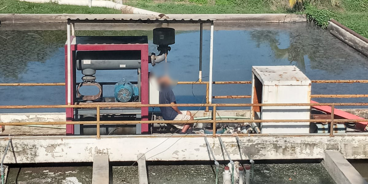 Lo hallan colgado en planta de tratamiento de Puerto Escondido | El Imparcial de Oaxaca Lo hallan colgado en planta de tratamiento de Puerto Escondido | El Imparcial de Oaxaca