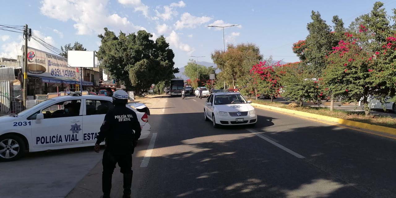 Aseguran 262 indocumentados | El Imparcial de Oaxaca Aseguran 262 indocumentados | El Imparcial de Oaxaca