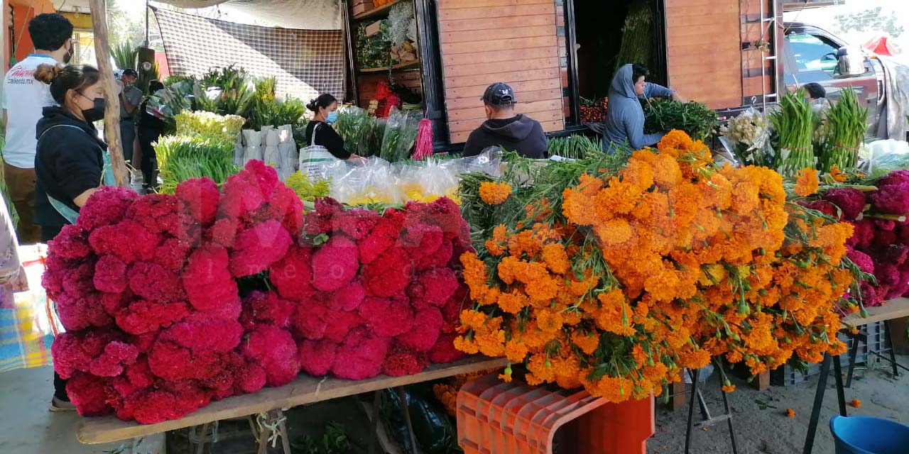 Productores y vendedores de flores confían en el repunte de ventas por Día de Muertos | El Imparcial de Oaxaca
