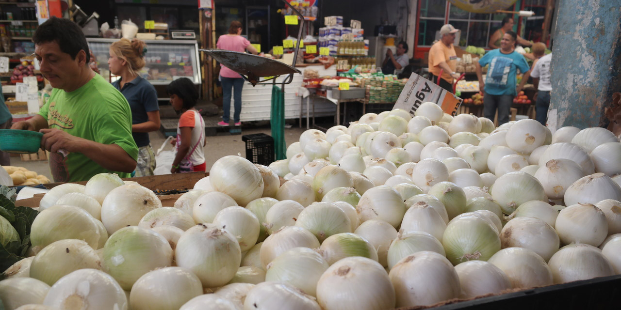¿Cómo y qué tanto podría afectar al precio de la cebolla que México ya no la exporte a EU? | El Imparcial de Oaxaca