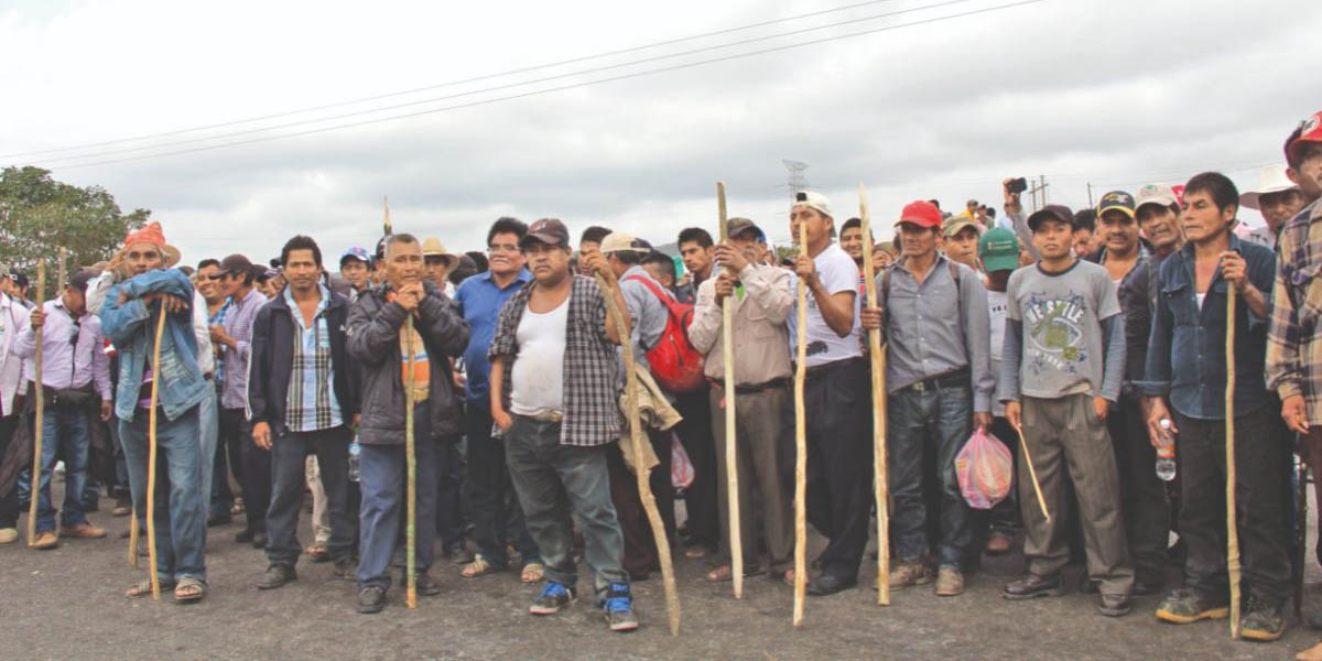 Destino de Chimalapas depende de la SCJN: activista | El Imparcial de Oaxaca Destino de Chimalapas depende de la SCJN: activista | El Imparcial de Oaxaca