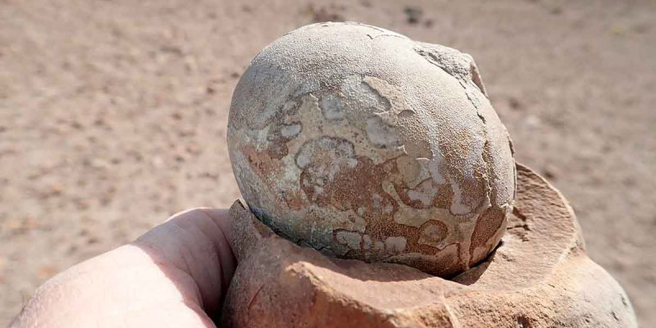 Encuentran más de 100 huevos de dinosaurio fosilizados en Argentina | El Imparcial de Oaxaca