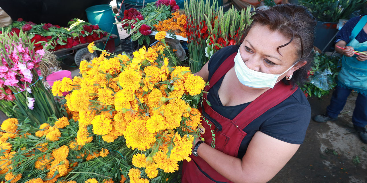 Flores de temporada reavivan expectativas de productores | El Imparcial de Oaxaca