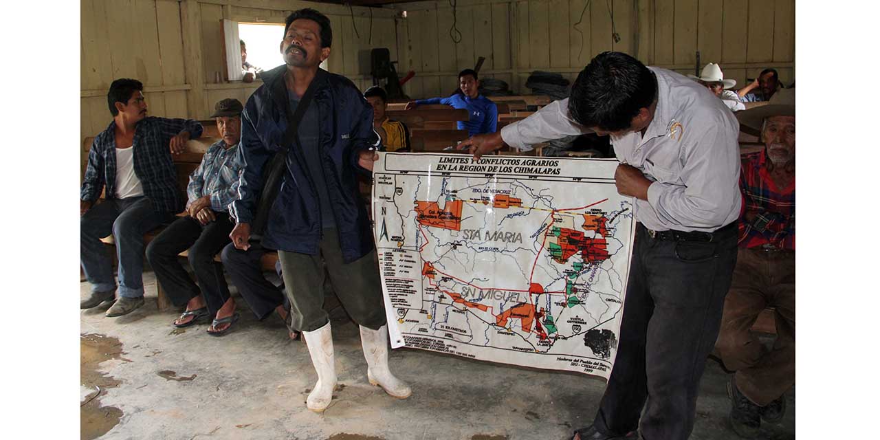 Invasores deforestan más de 50 mil has en los Chimalapas | El Imparcial de Oaxaca