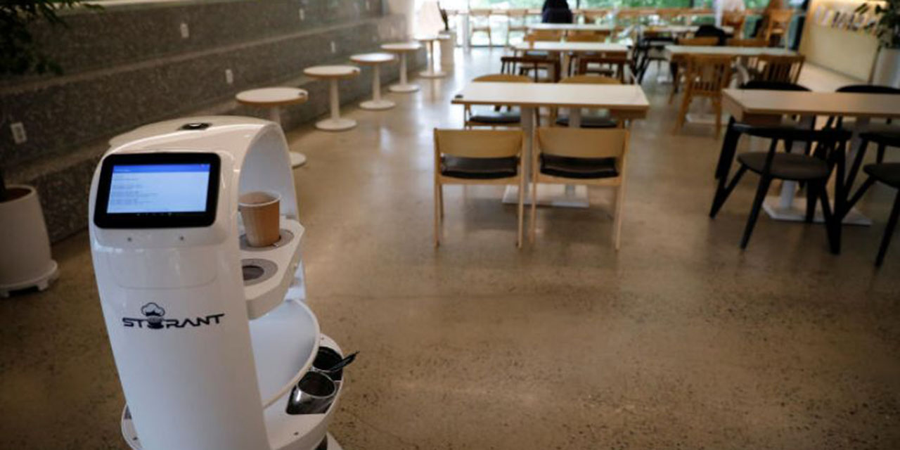 Contratan a robot para trabajar como mesero en restaurante y recibe más propinas | El Imparcial de Oaxaca