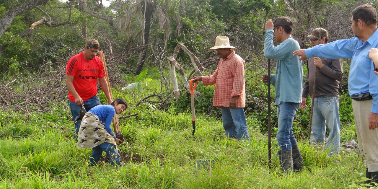 Comuneros denuncian apropiación de área ecológica | El Imparcial de Oaxaca