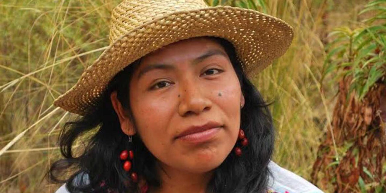 15 días sin regresar a casa: Exigen búsqueda de la activista Irma Galindo | El Imparcial de Oaxaca