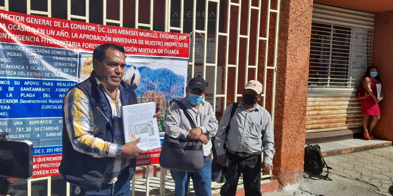 Denuncian marginación  de programas forestales | El Imparcial de Oaxaca
