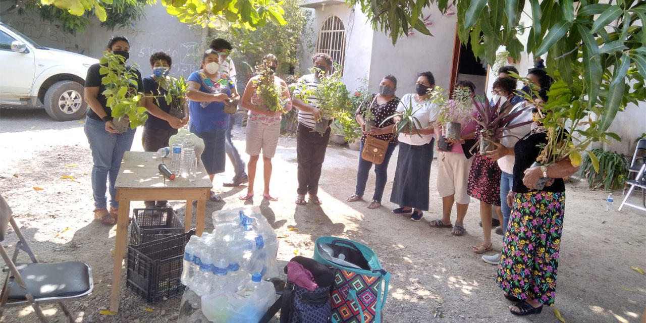 Realizan taller de medicina tradicional en Asunción Ixtaltepec | El Imparcial de Oaxaca
