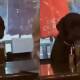 Captan a perrito tomando cerveza en un bar, el vídeo se vuelve viral