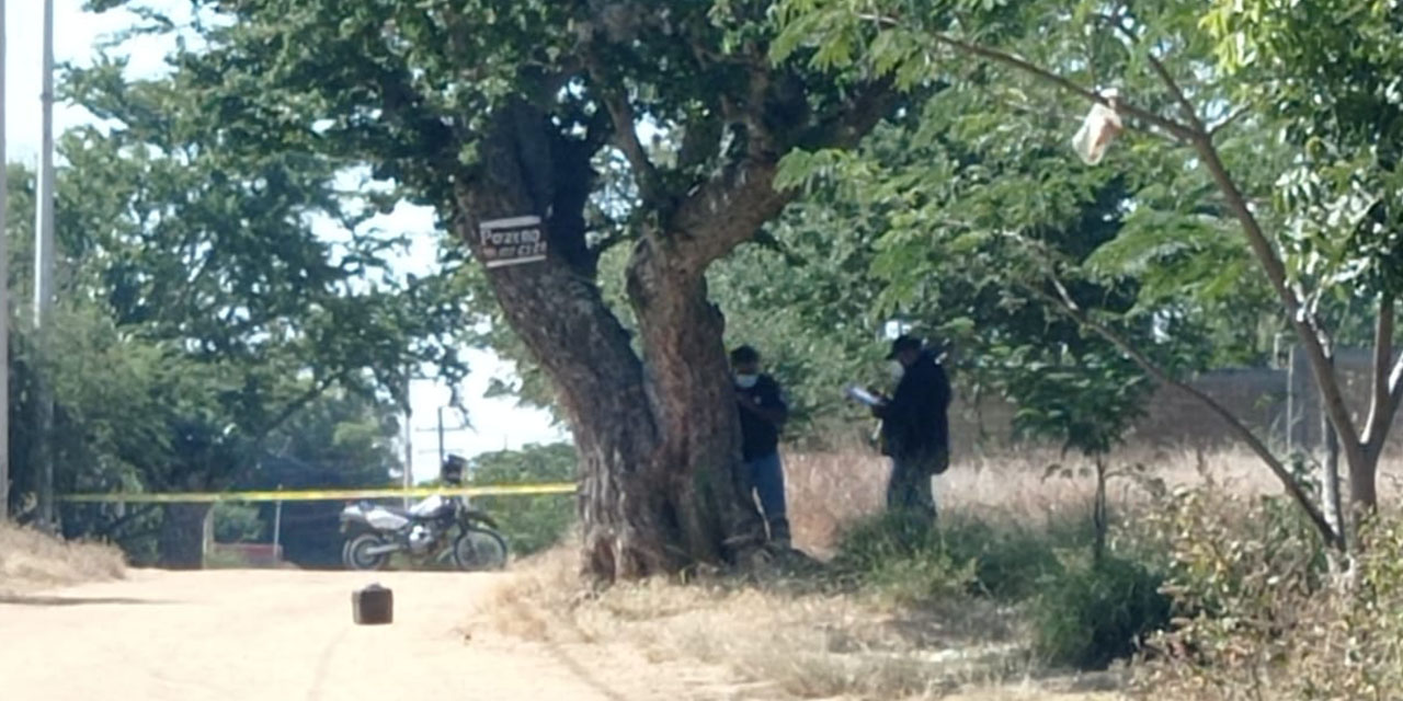 Hallan a hombre sin vida bajo árbol en Xoxocotlán