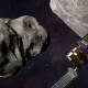 NASA enviará nave para que choque asteroide y cambie su trayectoria