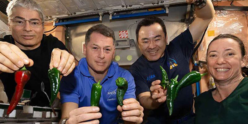 Astronautas de SpaceX usarán pañales ya que el baño de la capsula se descompuso | El Imparcial de Oaxaca