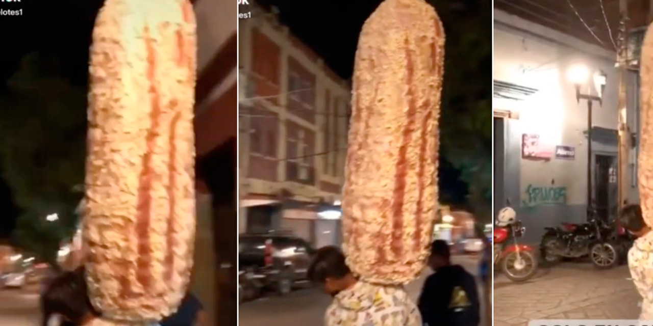 VIDEO: Un elote gigante en Oaxaca causa revuelo en redes. ¿Podría comerlo?, preguntan | El Imparcial de Oaxaca VIDEO: Un elote gigante en Oaxaca causa revuelo en redes. ¿Podría comerlo?, preguntan | El Imparcial de Oaxaca