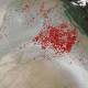 NASA publica fotos en las que se la contaminación de la India desde el espacio 