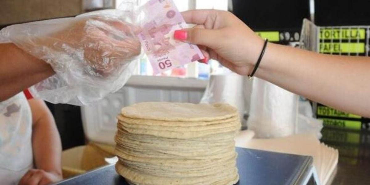 Alertan sobre nuevo precio de la tortilla | El Imparcial de Oaxaca