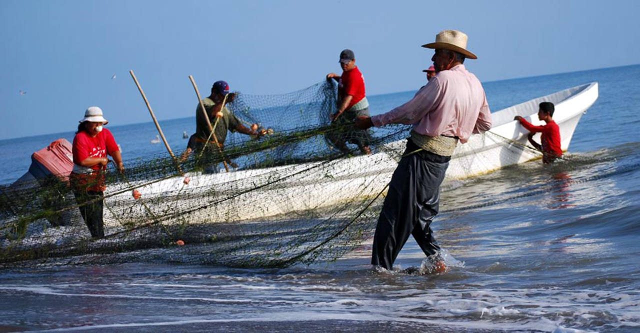 A la baja, producción  pesquera en Oaxaca | El Imparcial de Oaxaca