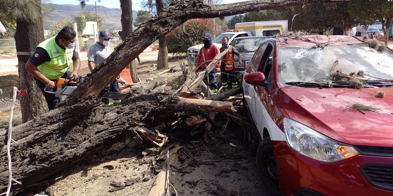 Amparo de ambientalistas motiva accidente vial | El Imparcial de Oaxaca
