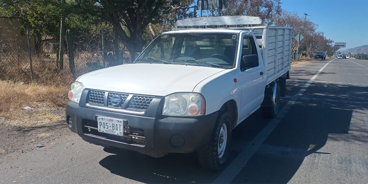 ¡Masacre de perros en San Francisco Lachigoló!