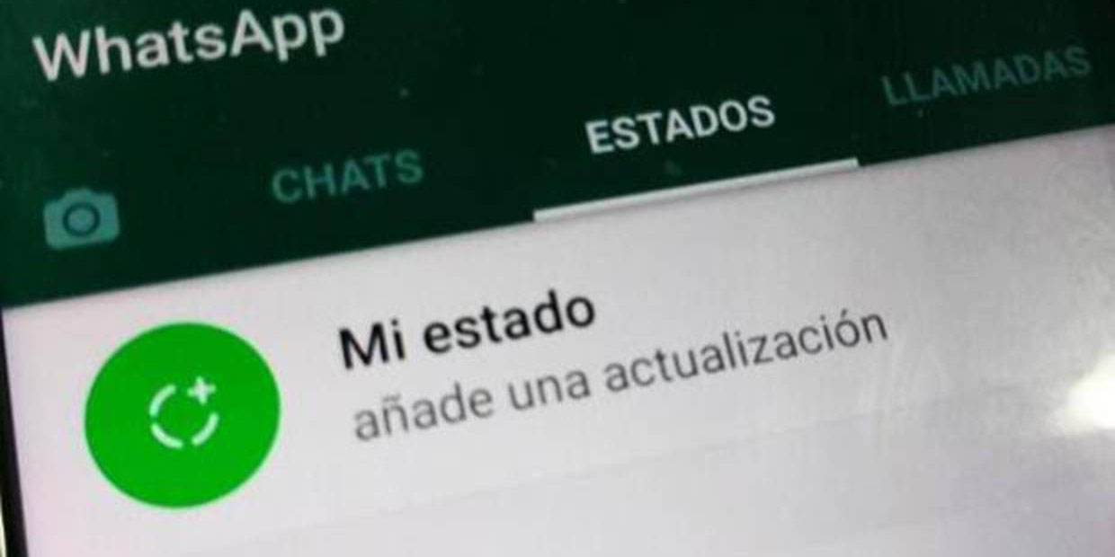 Prepara WhatsApp función para deshacer estados de inmediato | El Imparcial de Oaxaca
