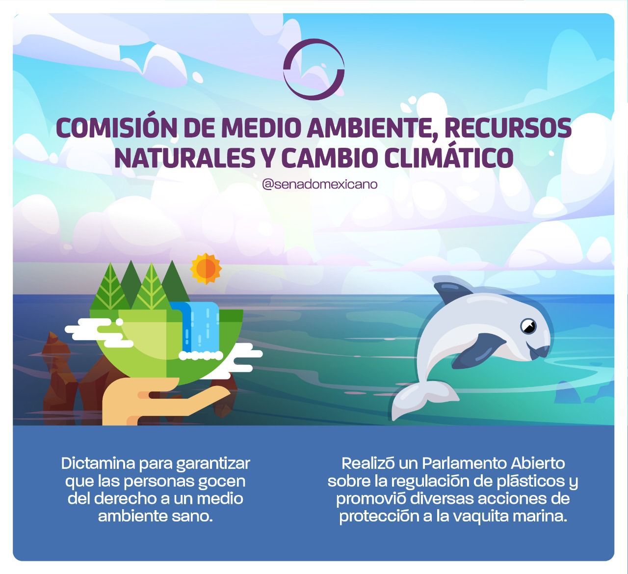 Día mundial del suelo