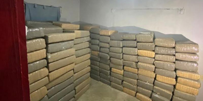 Aseguran casi dos toneladas de mariguana en una casa de seguridad en Tamaulipas | El Imparcial de Oaxaca